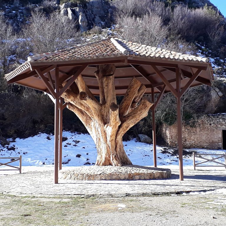 Jutia Rural 2 casa rural nerpio